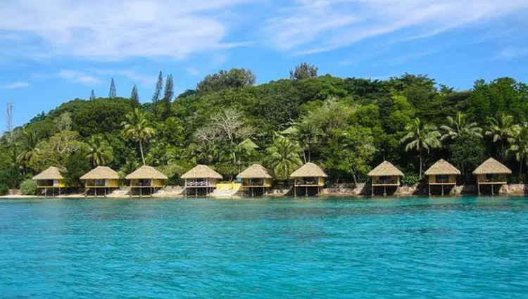 瓦努阿图护照移民需要什么条件，入籍和绿卡政策有什么区别？